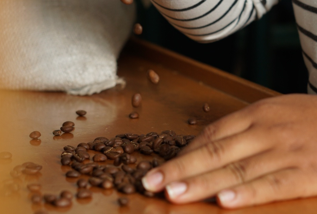 Café Tostado Artesanal: Un Arte y una Ciencia